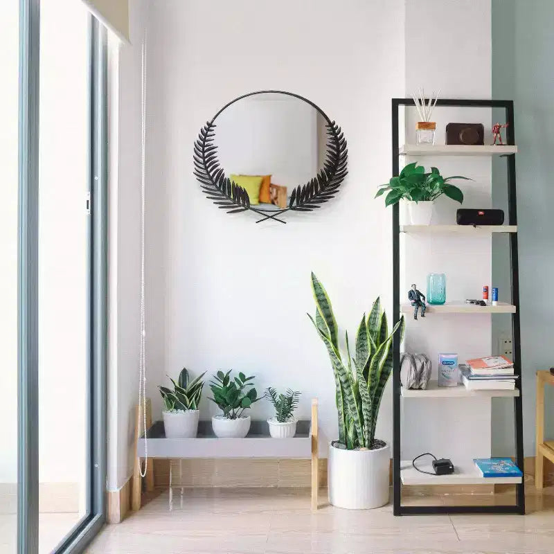 22"x21" Emperor Wall Mirror Black - Grecian Iron Frame, No Assembly Required