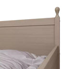 Divano Letto in Legno Singolo con Letto Estraibile